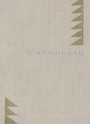 Человек с Ладоги – аудиокнига