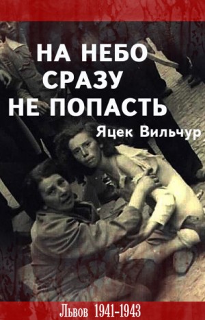 На небо сразу не попасть – аудиокнига