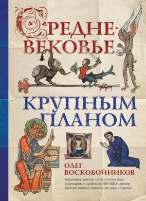 Средневековье крупным планом – аудиокнига