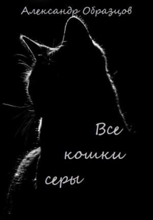 Все кошки серы – аудиокнига
