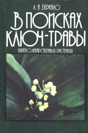 В поисках ключ-травы – аудиокнига