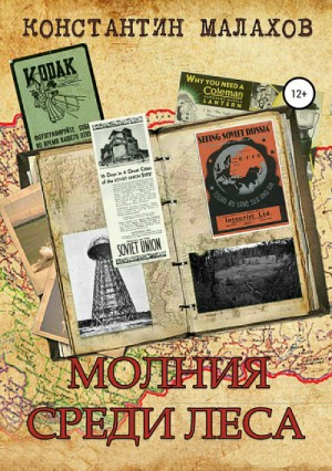 Молния среди леса – аудиокнига