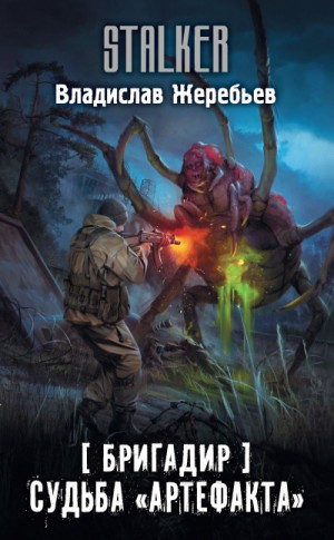 S.T.A.L.K.E.R: Бригадир. Судьба «Артефакта» – аудиокнига