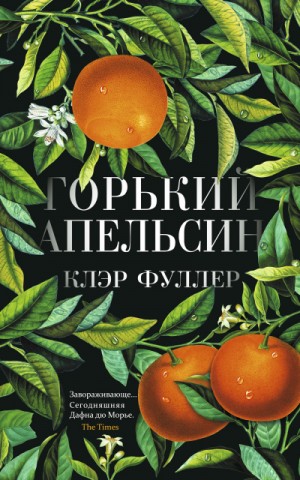 Горький апельсин – аудиокнига