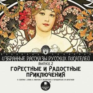 Горестные и радостные приключения – аудиокнига