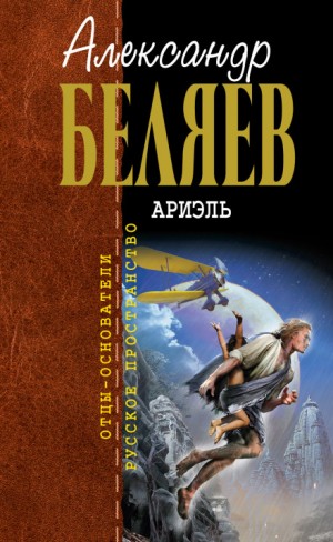 Под небом Арктики – аудиокнига