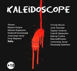 Kaleidoscope. Сборник рассказов – аудиокнига