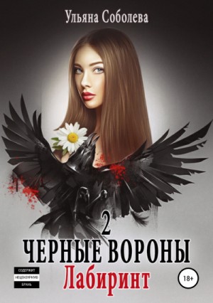 Чёрные Вороны: 2. Лабиринт – аудиокнига