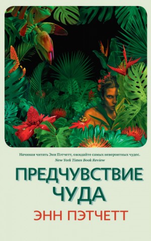 Предчувствие чуда – аудиокнига