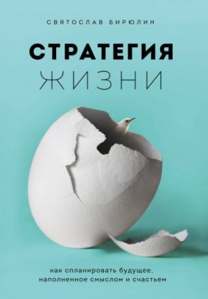 Стратегия жизни – аудиокнига