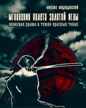 Мгновения полёта золотой иглы – аудиокнига