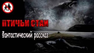 Птичьи стаи – аудиокнига