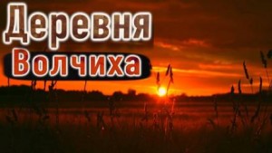 Писатель в деревне – аудиокнига