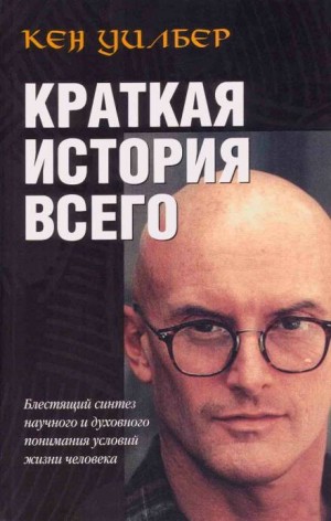 Краткая история всего – аудиокнига