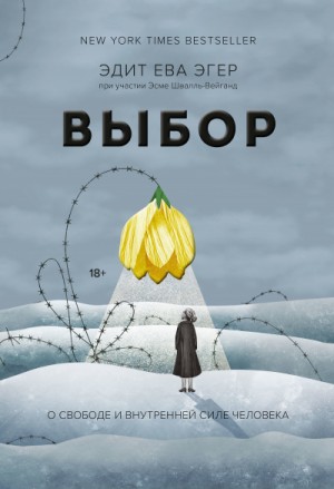 Выбор. О свободе и внутренней силе человека – аудиокнига