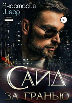 Саид. За гранью – аудиокнига