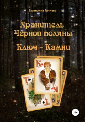 Хранитель Черной поляны – аудиокнига