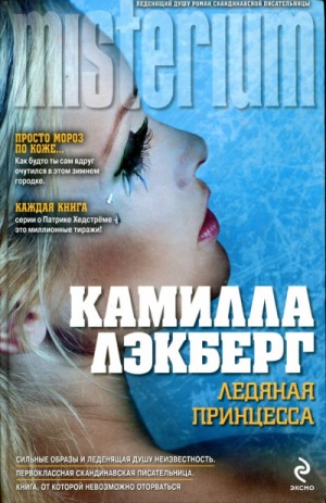 Ледяная принцесса – аудиокнига