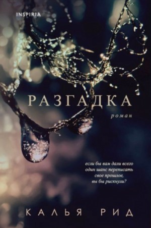 Разгадка – аудиокнига