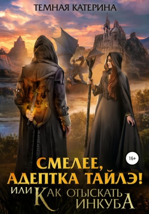 Смелее, адептка Тайлэ! или Как отыскать инкуба – аудиокнига