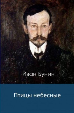 Птицы небесные – аудиокнига