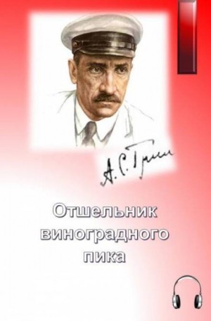 Отшельник виноградного пика – аудиокнига