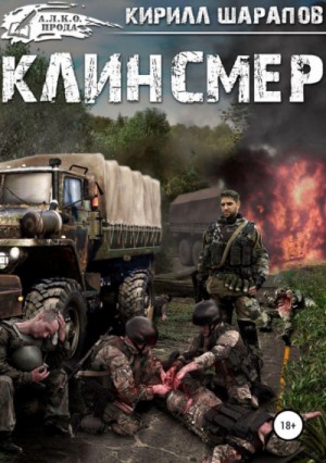 Клинсмер – аудиокнига