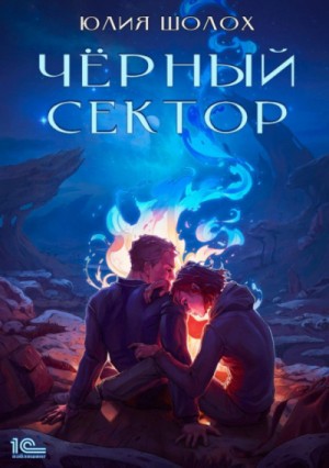 Чёрный сектор – аудиокнига