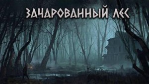 Зачарованный лес – аудиокнига