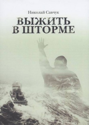 Выжить в шторме – аудиокнига
