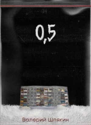 0,5 – аудиокнига