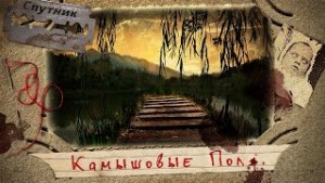 Камышовые поля – аудиокнига