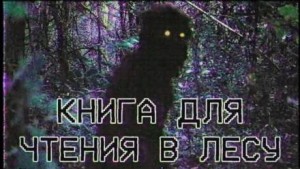 Книга для чтения в лесу – аудиокнига