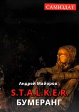 Stalker: Бумеранг – аудиокнига