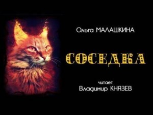 Соседка – аудиокнига