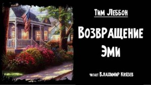 Возвращение Эми – аудиокнига