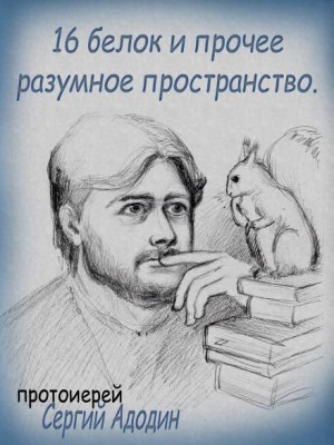 16 белок и прочее разумное пространство – аудиокнига
