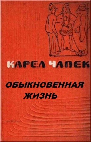 Обыкновенная жизнь – аудиокнига