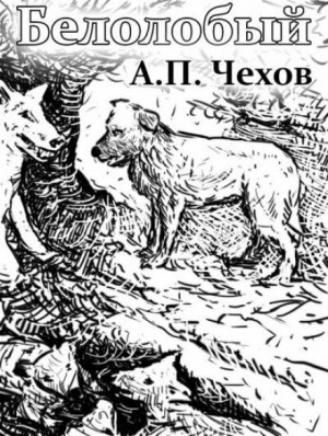 Белолобый – аудиокнига