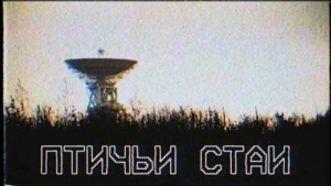 Птичьи стаи – аудиокнига