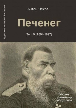 Печенег – аудиокнига