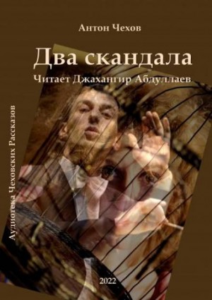 Два скандала – аудиокнига