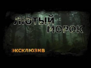 Лютый морок – аудиокнига