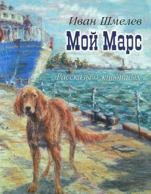 Мой Марс – аудиокнига