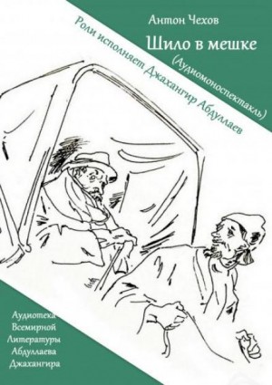 Шило в мешке – аудиокнига