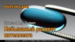 Небывалый расцвет интеллекта – аудиокнига