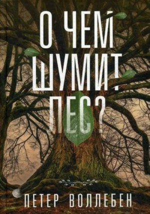 О чём шумит лес? – аудиокнига