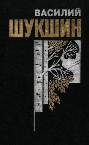 Верую! – аудиокнига