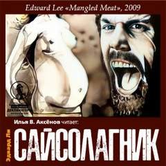 Сайсолагник – аудиокнига