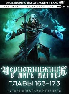 Чернокнижник в мире Магов. Главы 163-173 – аудиокнига